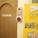 모여라 애견미용 이미지