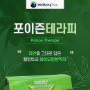 정진발전소 | 미세먼지, 중금속, 환경호르몬, 바이러스 배출로 암 예방