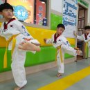 청용태권도장 이미지