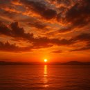 에스비신일(주) | 🔮사주사마四柱サマ🔮2026년 병오년 병신일주 운세~직장운 재물운 장사운 사업운 연애운 건강운 운세사주