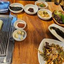 정직한장어