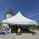 화려농장 | ​고창 가볼만한곳: 학원농장 청보리밭 축제 개화 상황! 유채꽃 인생샷 명소와 주차 정보