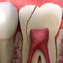 김포한강치과의원 이미지