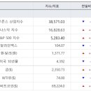 다우전산 한국경제TV