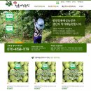 청홍농장 | [광양매실추천] 매실장아찌 담기 좋은 광양청홍매실