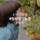 동방농장 이미지