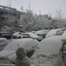 금일초등학교 이미지