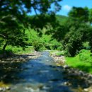 초간정화장실 이미지