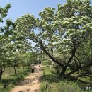 교항1리 이미지