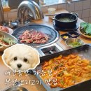 스타주유소 | 애견동반 부천 스타필드 맛집 오리고기 식당 그릴덕 가족식사 추천