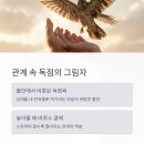 수하바이크