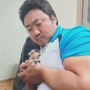 황금산 고양이 이미지