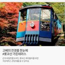 작전문화공원 벽천분 | [10월 11월 일본여행추천] 오사카 소도시 가을단풍 패키지 3박4일 스타가이드와 함께하는 미식 온천 일정