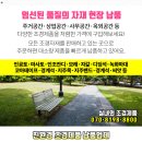 블랙홀 모텔 이미지