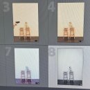 인생개컷 | 망원동셀프스튜디오 애견동반가능 셀프사진관 예뻐서, 봄 망원점 A룸 후기