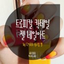 로지영네일 이미지