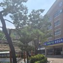 대전송강중학교 이미지