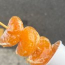 판다탕후루 이미지