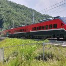 오송5교 이미지