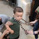 도하목장 이미지