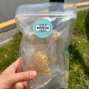 매일멍냥8 이미지