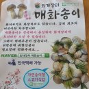 화개파크 이미지