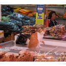 정(情)돼지국밥 이미지