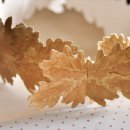 르쁘띠아뜰리에(Le petit atelier)