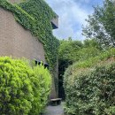 풀잎약국 | 풀 알레르기 증상부터 대처법 약국 추천 약,연고 사용 후기