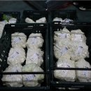 대화농협 APC 이미지