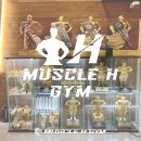 에이치짐 이미지