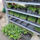 시민식당 이미지