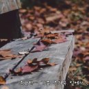 창작 무용극 모악정서 이미지