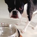 덕구놀이터 이미지