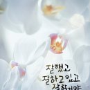꼼지락 꼼지락 1기 이미지