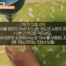 다대포어린이집 네이버블로그