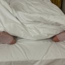 꼬기랑호프랑