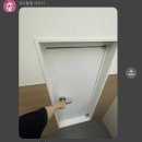 리틀댕댕 | 월간 8월(연속 두달 가능할까)