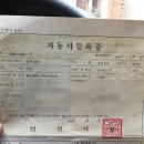 대일카랜드 이미지