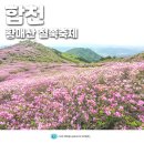 합천 황매산 철쭉축제 산청 황매산 철쭉제