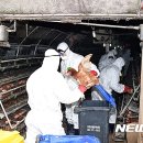 김제앵글 뉴시스