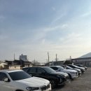 올다커피 앞 횡단보도 | 천안 병천순대 맛집 박순자아우내순대 본점 내돈내산 후기