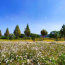 신소양체육공원 이미지