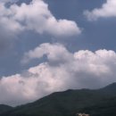 스테이해하 이미지