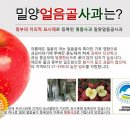 금풍농원
