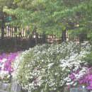 아름다운크리닝 이미지