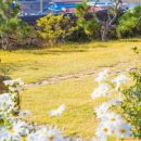 청산민박 이미지