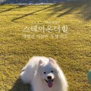 스테이온더힐 이미지