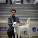 훈이애견 이미지