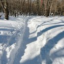 [신청중] 1월6일 (화)~9일(금) 흰눈과 붉은 동백 제주속으로 올레 이미지